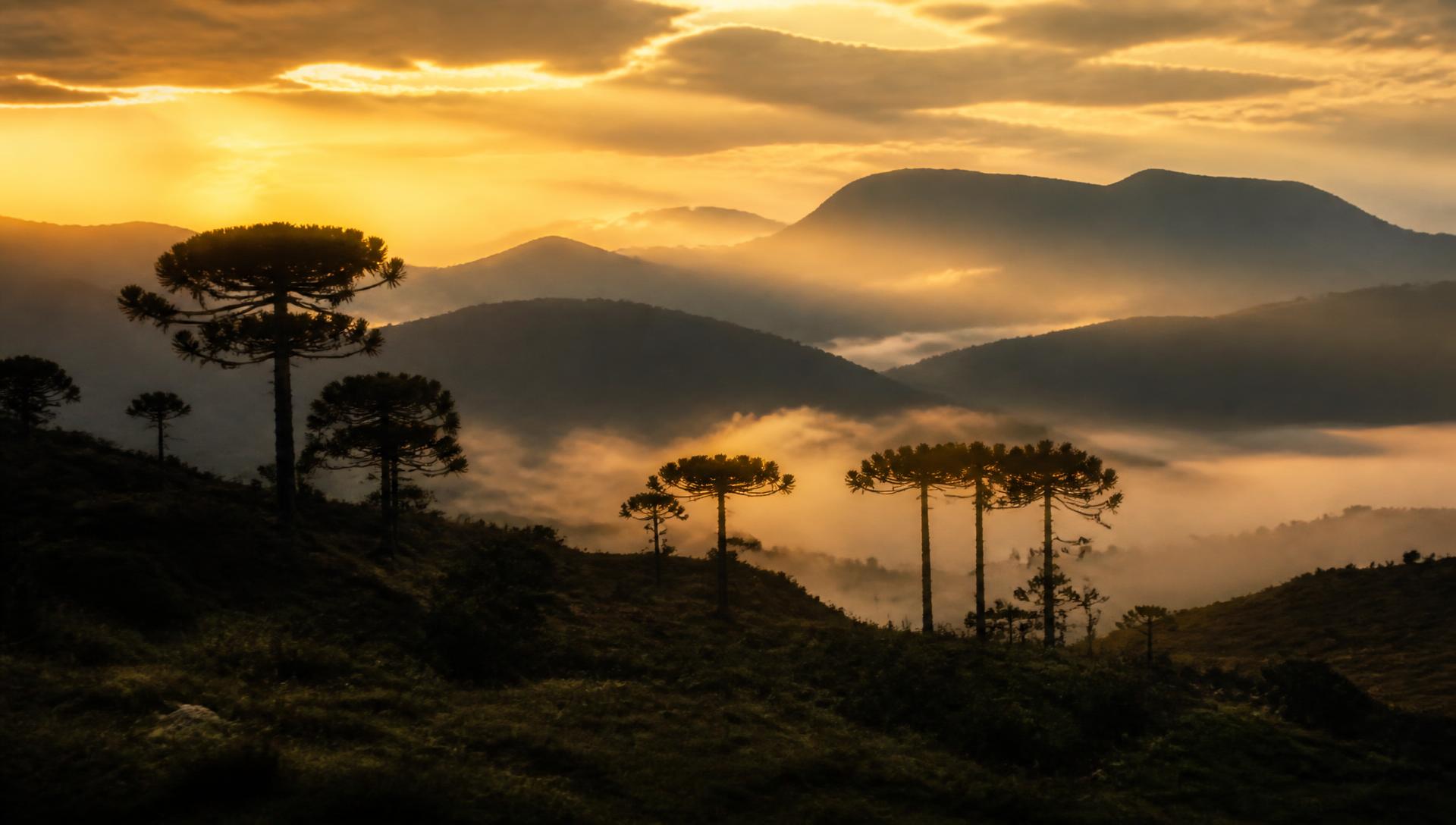 Serra Catarinense ao pôr do sol